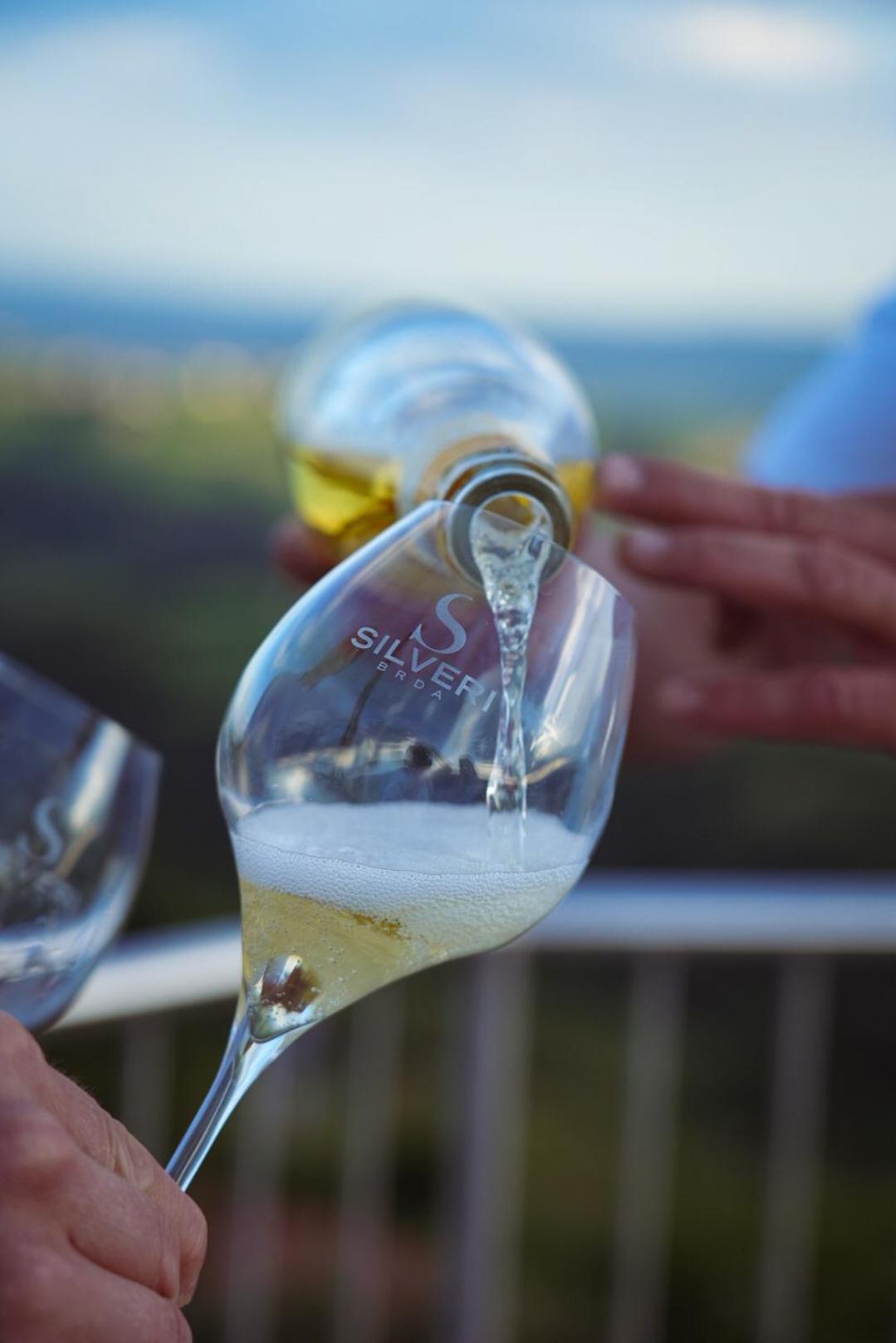 Pikol Lake Village Wine Estate Нова Гориця Екстер'єр фото